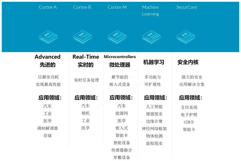 AI Accelerator Interconnect